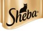 Sheba Sheba