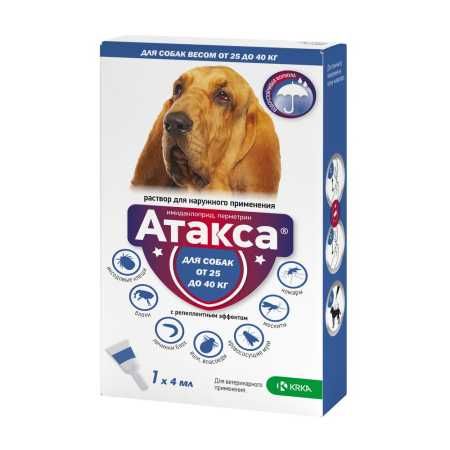 Атакса  от 25-40 кг