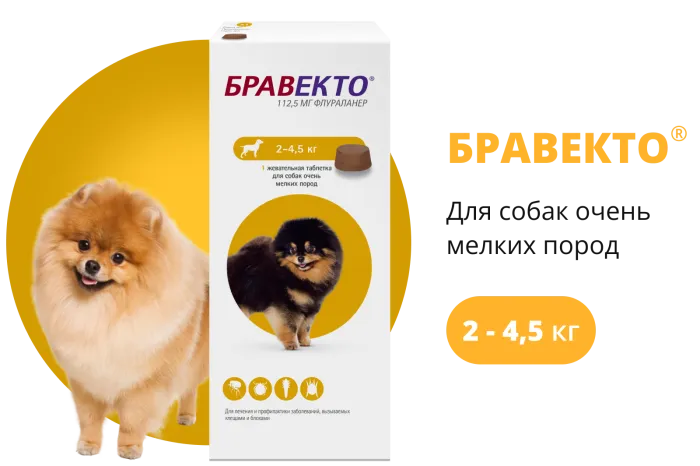 Бравекто (BRAVECTO) жевательная таблетка для собак 2–4,5 кг, 112,5 мг