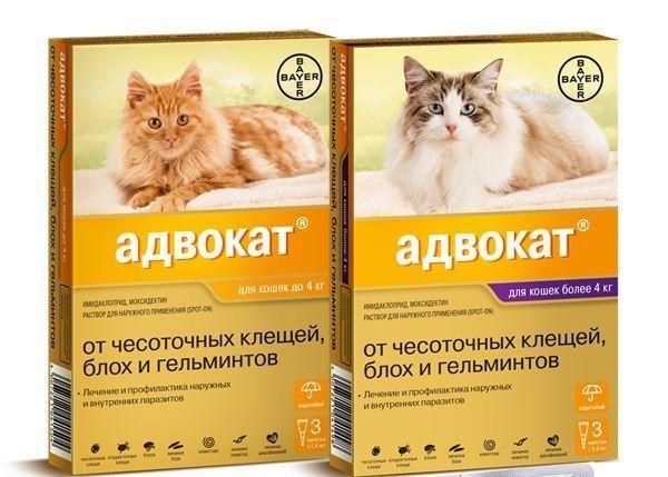 Капли Адвокат на холку для кошек