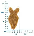 Monge Monoprotein Adult Cat Salmon — сухой корм с лососем для взрослых кошек
